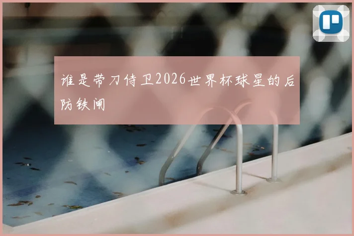 谁是带刀侍卫2026世界杯球星的后防铁闸